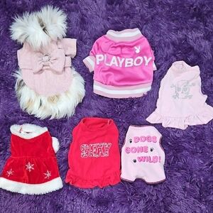 XS-Small Dog Clothes